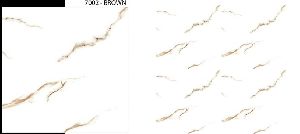 Glossy Series Vitrified Tiles
