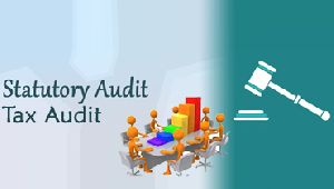 Statutory Audit & Tax Audit Services