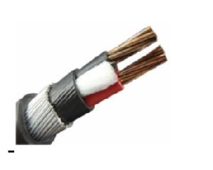 2 Core Armoured Cable