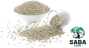 Pearl Millet