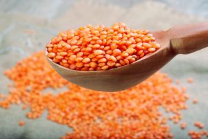 Red Lentils