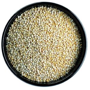 Seeds