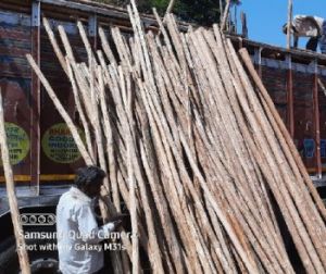 NILGIRI POLES