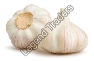 Garlic Bulbs