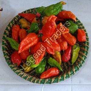 Dry King Chili