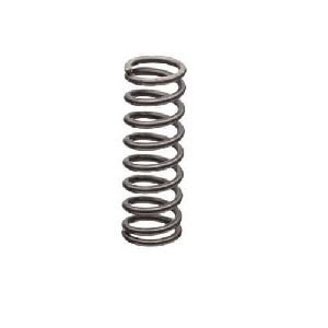 Stainless Steel Helical Spring