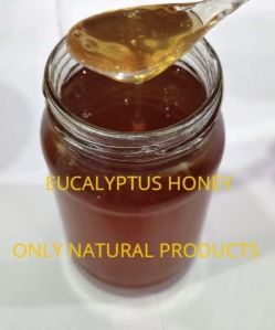 Eucalyptus Honey