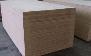 Commercial Plywood