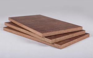 Shuttering Plywood