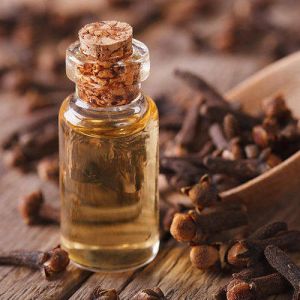 clove bud essential oil