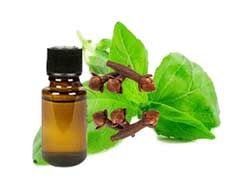 Clove Leaf Essential Oil