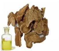 costus root essential oil