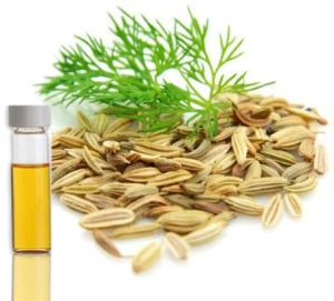 Dill seed Essential Oil