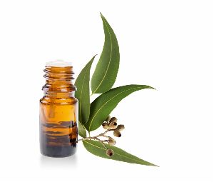 Eucalyptus Essential Oil