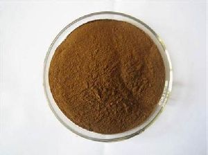 Black Tea Extract