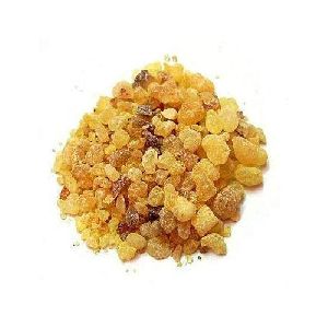 Boswellia Serrata Extract