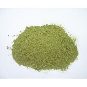 Parsley Extract Powder