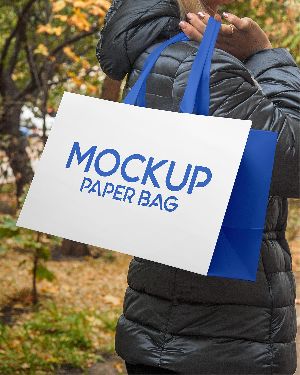 SBS Paper Bags