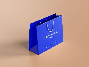 SBS Paper Bags