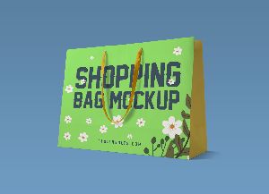 Duplex Paper Bags