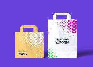 Art Paper Bags