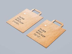 Kraft Paper Bags