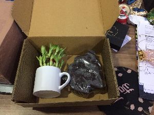 Combo Corporate Gifts