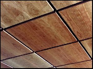 Ceiling Panels
