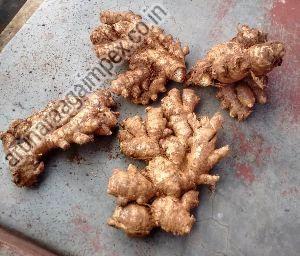 Fresh Ginger