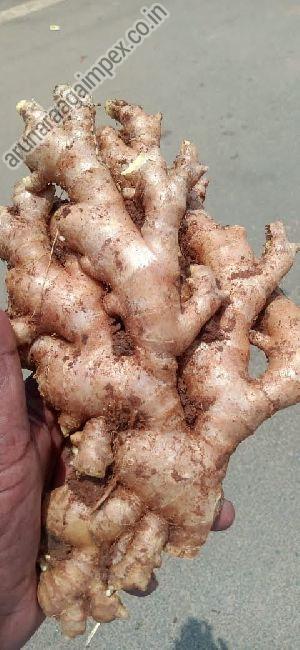 Fresh Ginger