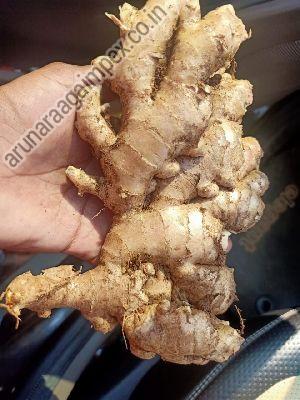 Fresh Ginger