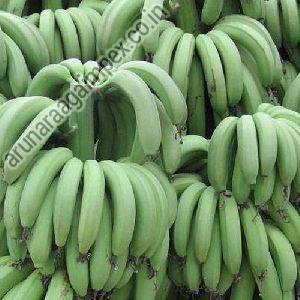 G9 Cavendish Banana