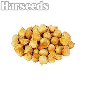 Kashmiri Himalayan Garlic