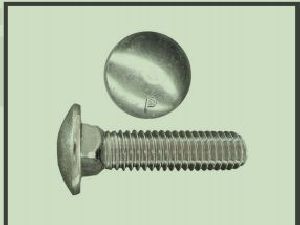Carriage Bolts