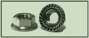 Serrated Hex Flange Nuts