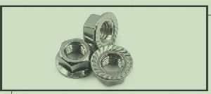 Serrated Hex Flange Nuts