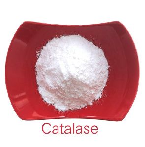 Catalase Powder