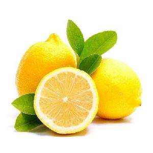 Fresh Yellow Lemon