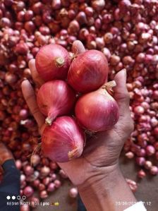 Red Onion