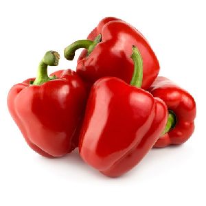 Fresh Red Capsicum