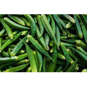 Fresh Okra