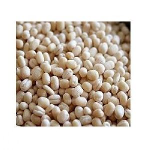 White Urad Dal