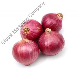 Fresh Onion