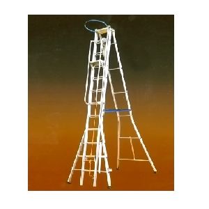 self support extension ladder