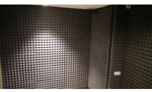 Acoustic Foam