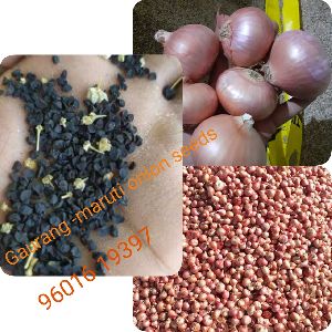 M-gaurang onion seeds
