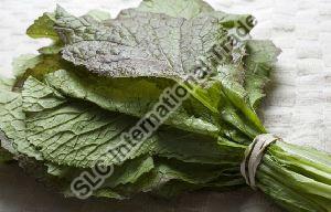 Fresh Mustard Leaves