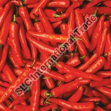 Fresh Red Chilli