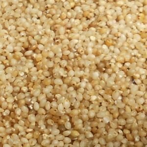 Barnyard Millet Seeds