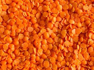 Red Lentils